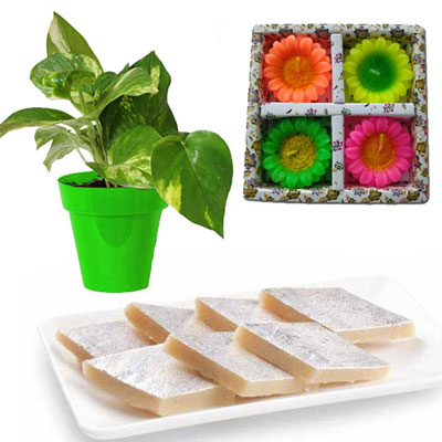 "Teddy N Chocos - Code VD15 - Click here to View more details about this Product